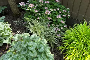 19 Westbury Ct, Ann Arbor, MI 48105 - Photo 86