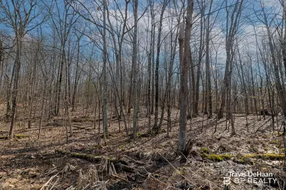 9310 S Benjamin Drive, Newaygo, MI 49337 - Photo 10