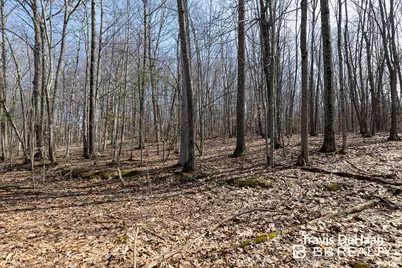 9310 S Benjamin Drive, Newaygo, MI 49337 - Photo 8