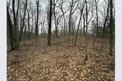 0 Wheat Lane, Lowell, MI 49331 - Photo 2
