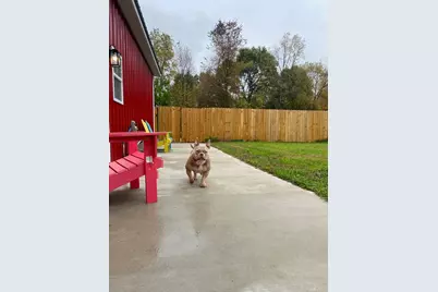 419 S Juniper Street NE, Edmore, MI 48829 - Photo 28