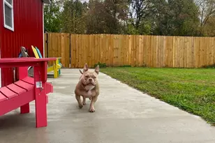 419 S Juniper St NE, Edmore, MI 48829 - Photo 28