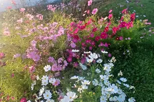 2489 10 Mile Rd NW, Sparta, MI 49345 - Photo 50