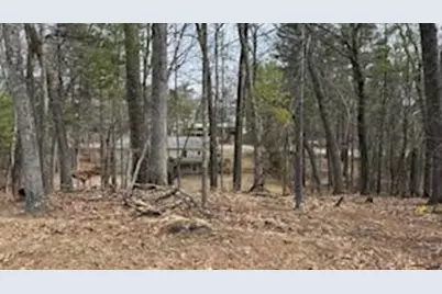 0 Mohawk Street, Pentwater, MI 49449 - Photo 4