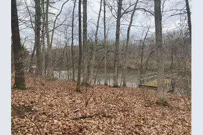 Vl Bridge Road, Allegan, MI 49010 - Photo 2