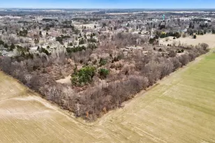 419 S Juniper St NE, Edmore, MI 48829 - Photo 38