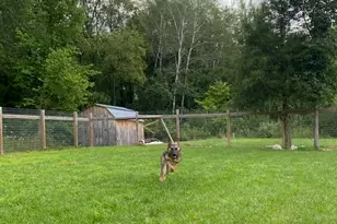 419 S Juniper St NE, Edmore, MI 48829 - Photo 34