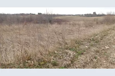 Cox Road, Bellevue, MI 49021 - Photo 4