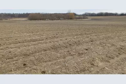 Cox Road, Bellevue, MI 49021 - Photo 10