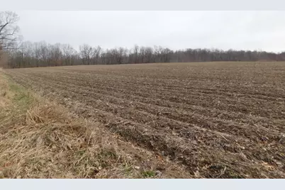 Cox Road, Bellevue, MI 49021 - Photo 6