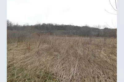 Cox Road, Bellevue, MI 49021 - Photo 2