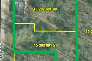 6176 S Broadway St, Idlewild, MI 49642 - Photo 2