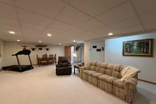 8727 Butterfield Hwy, Bellevue, MI 49021 - Photo 32