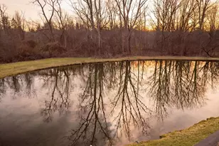 7513 Hickory Hill Dr, West Bloomfield, MI 48322 - Photo 34