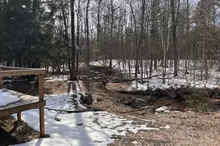 11071 N Gladys Ln, Irons, MI 49644 - Photo 22