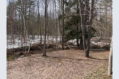 11071 N Gladys Lane, Irons, MI 49644 - Photo 20