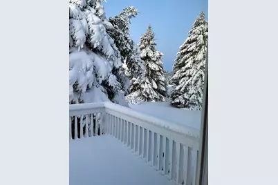 4981 St Annes Court, Ann Arbor, MI 48103 - Photo 86