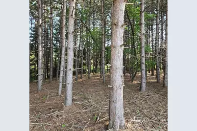 7202 21 Mile Road, Evart, MI 49631 - Photo 52