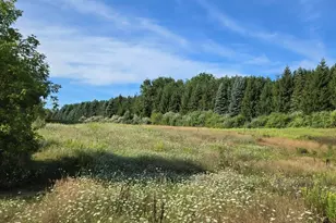 7202 21 Mile Rd, Evart, MI 49631 - Photo 58