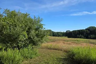 7202 21 Mile Rd, Evart, MI 49631 - Photo 62