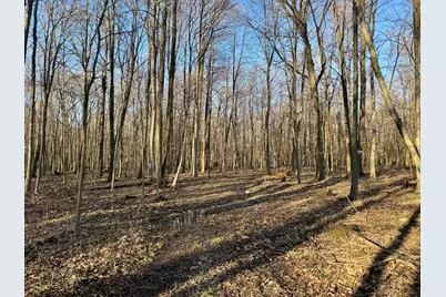 102 W Central Road, Coldwater, MI 49036 - Photo 60