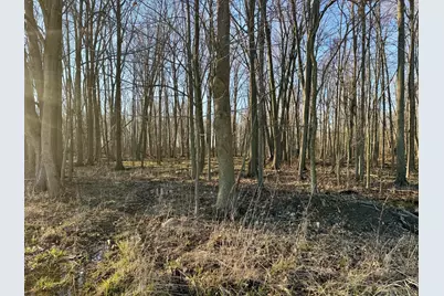 102 W Central Road, Coldwater, MI 49036 - Photo 54