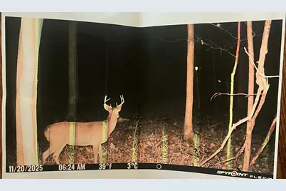 102 W Central Road, Coldwater, MI 49036 - Photo 66