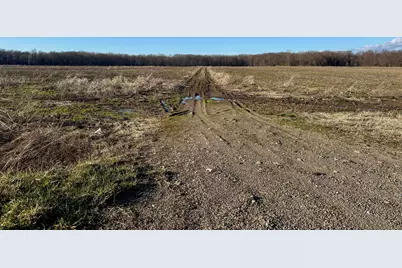102 W Central Road, Coldwater, MI 49036 - Photo 16
