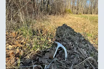 102 W Central Road, Coldwater, MI 49036 - Photo 56