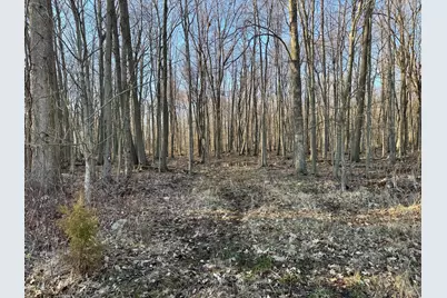 102 W Central Road, Coldwater, MI 49036 - Photo 58