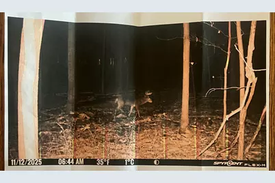 [Address not provided], Coldwater, MI 49036 - Photo 18