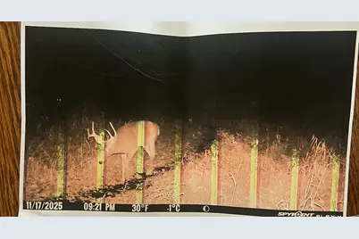 [Address not provided], Coldwater, MI 49036 - Photo 22