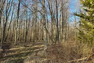 [Address not provided], Coldwater, MI 49036 - Photo 1