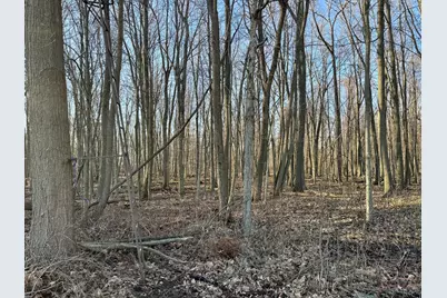 [Address not provided], Coldwater, MI 49036 - Photo 14