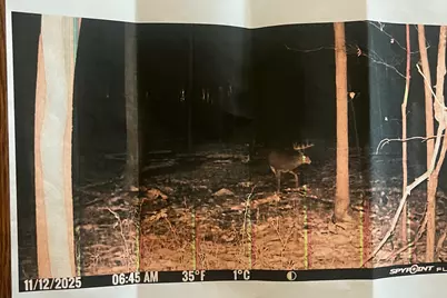 [Address not provided], Coldwater, MI 49036 - Photo 24