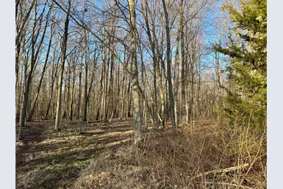 [Address not provided], Coldwater, MI 49036 - Photo 8