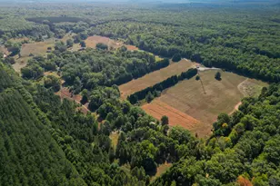 11664 N Gordon Ave, Bitely, MI 49309 - Photo 32