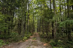 13171 Kt Dr, Bitely, MI 49309 - Photo 48