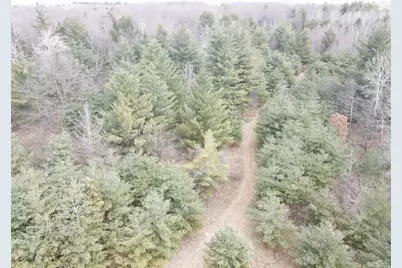 4 Mile Road, Evart, MI 49631 - Photo 12