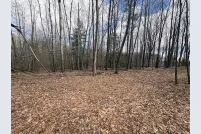 4 Mile Road, Evart, MI 49631 - Photo 16