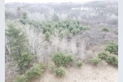 4 Mile Road, Evart, MI 49631 - Photo 26