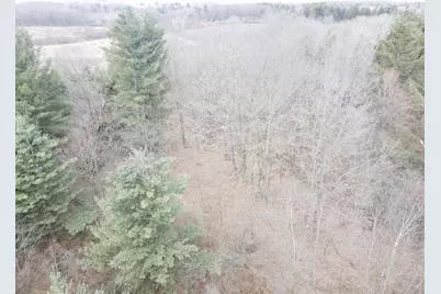 4 Mile Road, Evart, MI 49631 - Photo 24