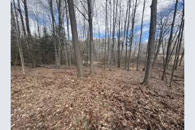 4 Mile Road, Evart, MI 49631 - Photo 18