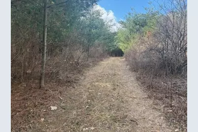 4 Mile Road, Evart, MI 49631 - Photo 22