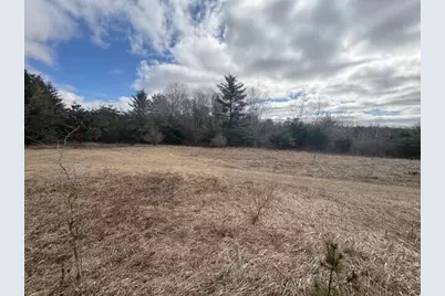 4 Mile Road, Evart, MI 49631 - Photo 20