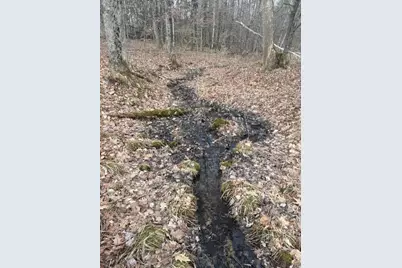 4 Mile Road, Evart, MI 49631 - Photo 4