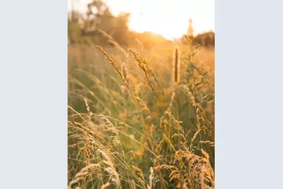 5553 Hidden Pond Lane, Sawyer, MI 49125 - Photo 72