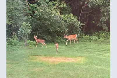 8949 Stadium Drive, Kalamazoo, MI 49009 - Photo 54