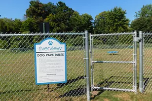 204 Landmark St, Sparta, MI 49345 - Photo 34