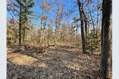 21210 W 12 Mile Road, Irons, MI 49644 - Photo 4